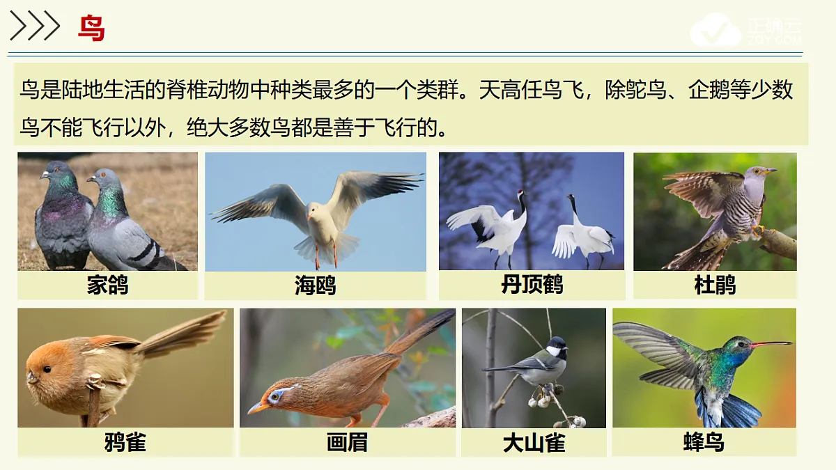 17609256第4页