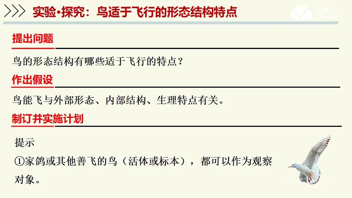 17609256第5页