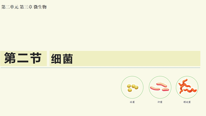 17609259第1页