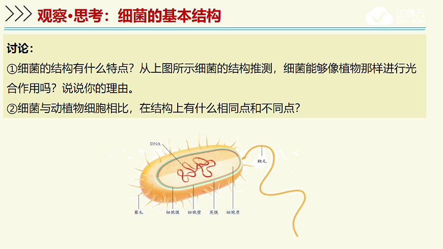 17609259第5页