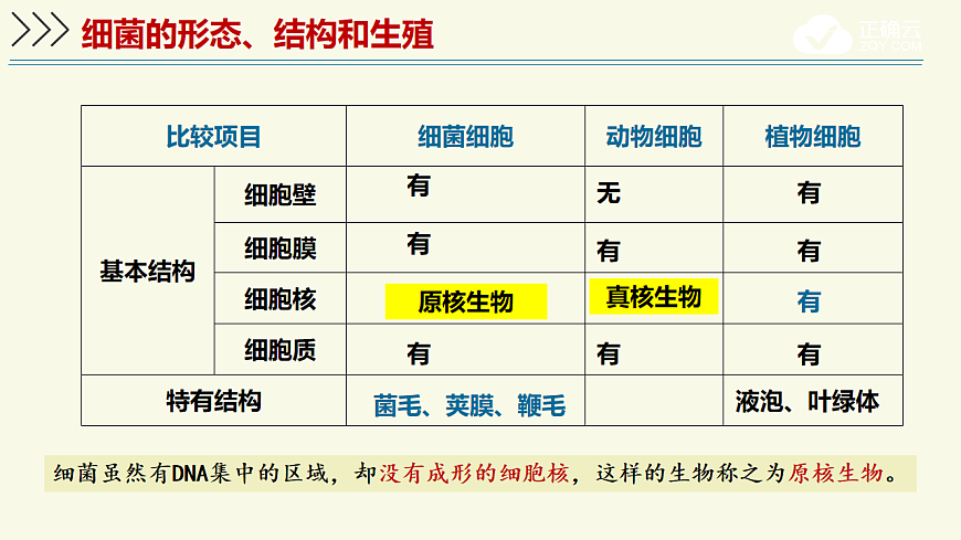 17609259第7页