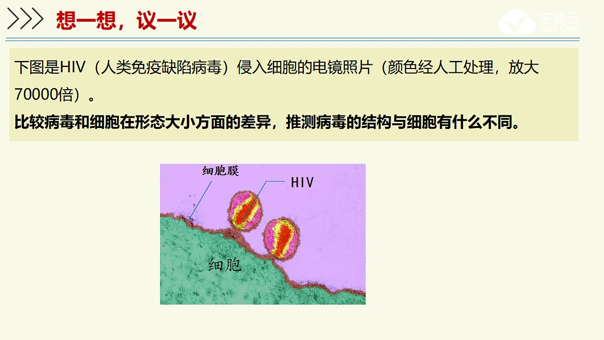 17609261第4页