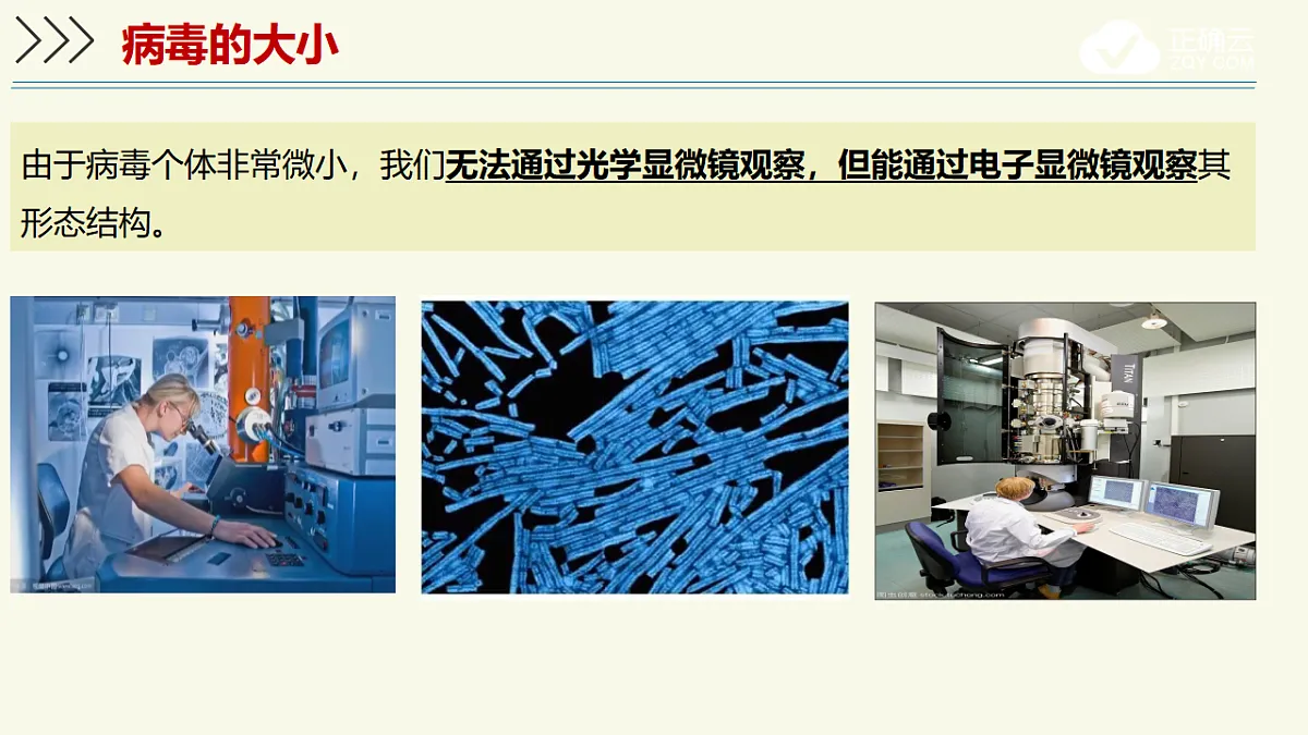 17609261第6页