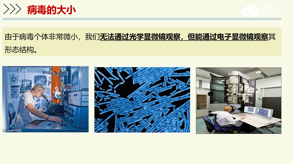 17609261第6页