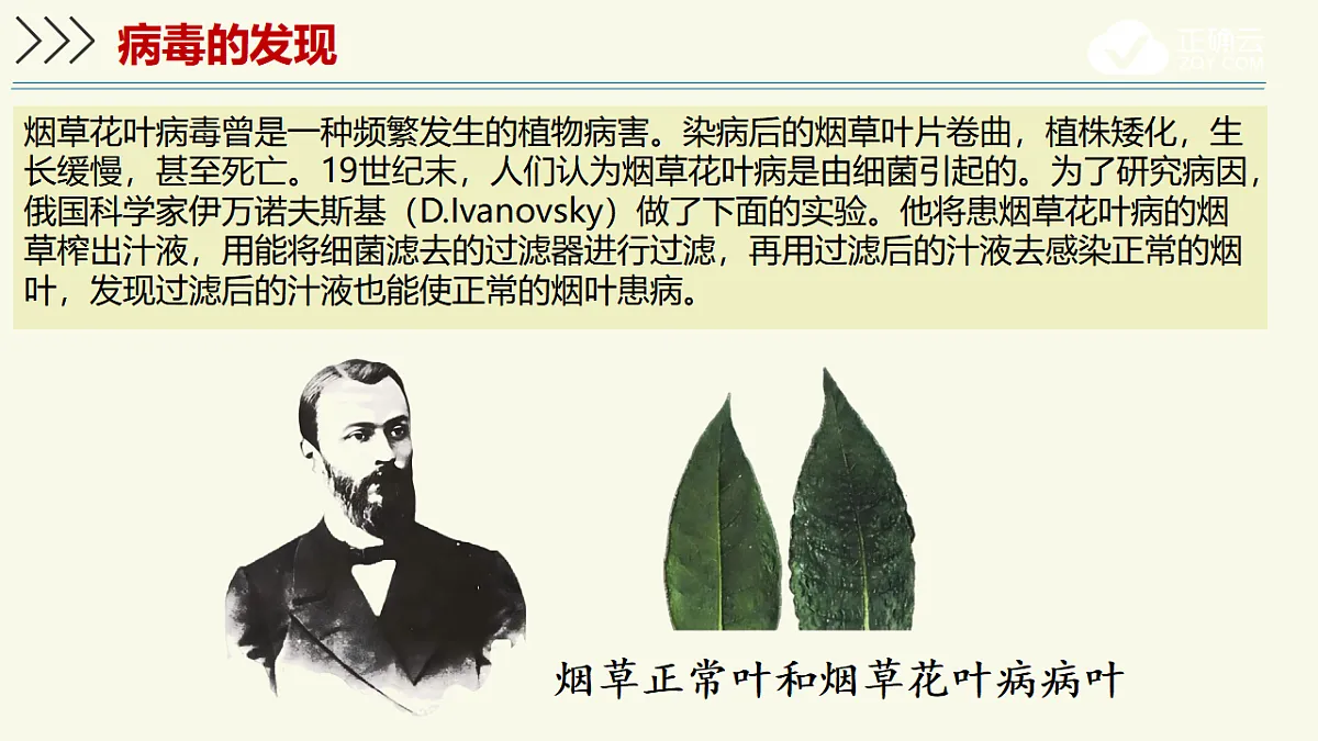 17609261第7页