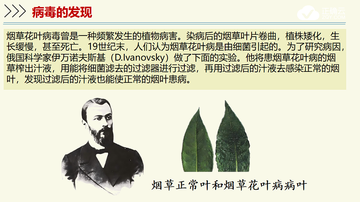 17609261第7页