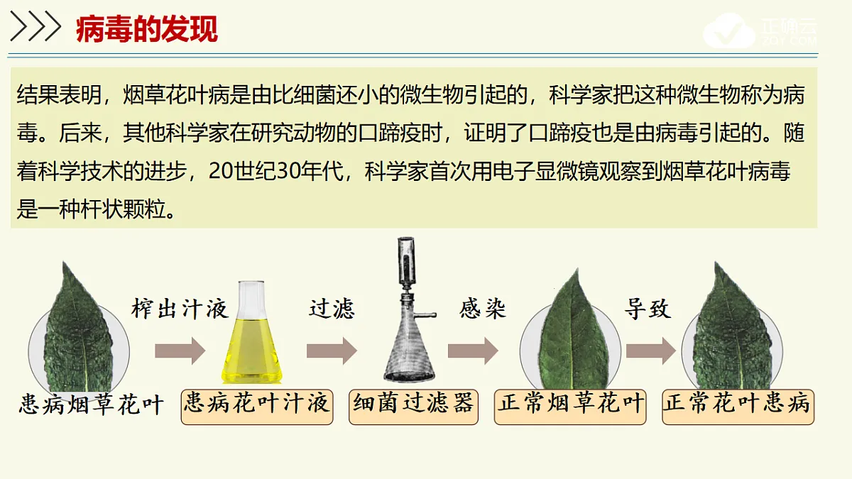 17609261第8页