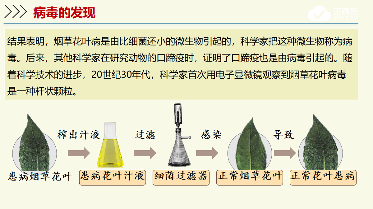 17609261第8页