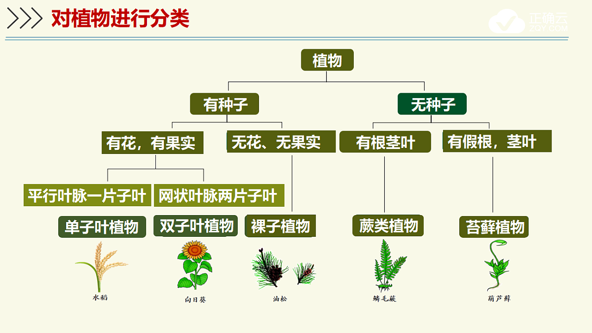 17609262第6页
