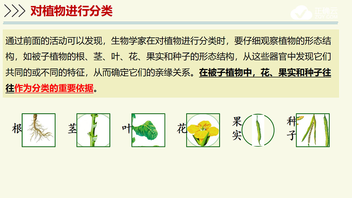 17609262第7页