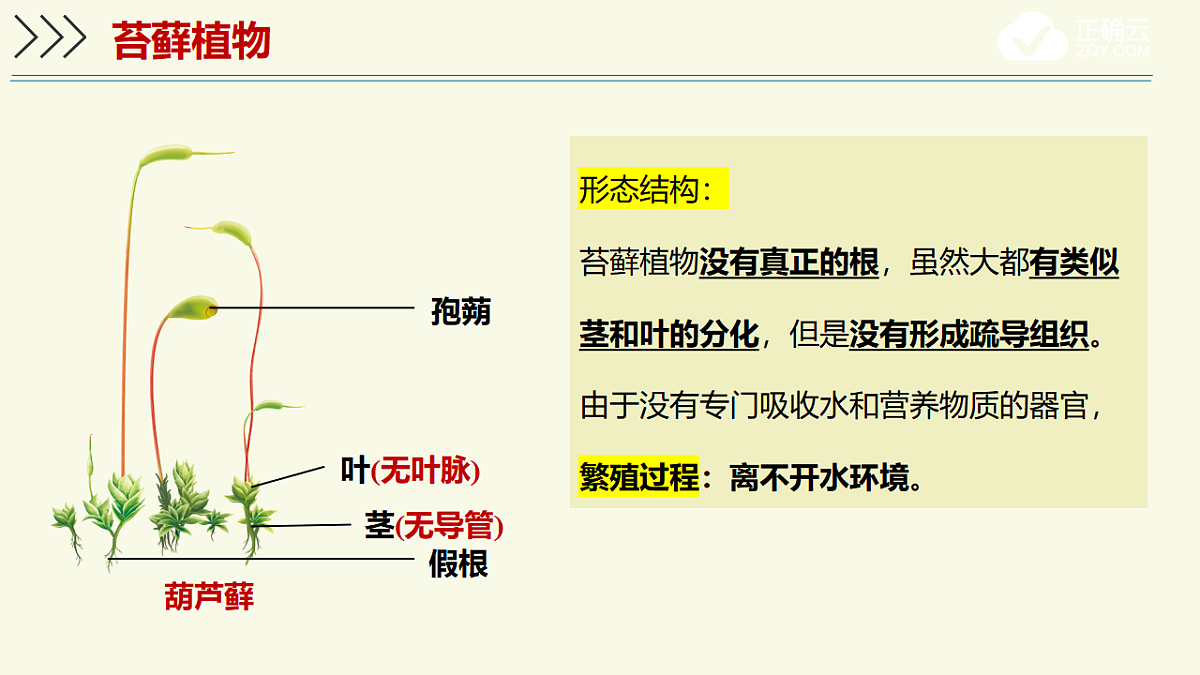 17609265第5页