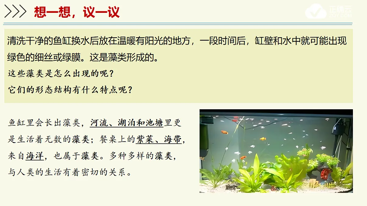 17609266第3页