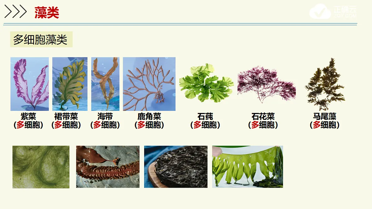 17609266第5页