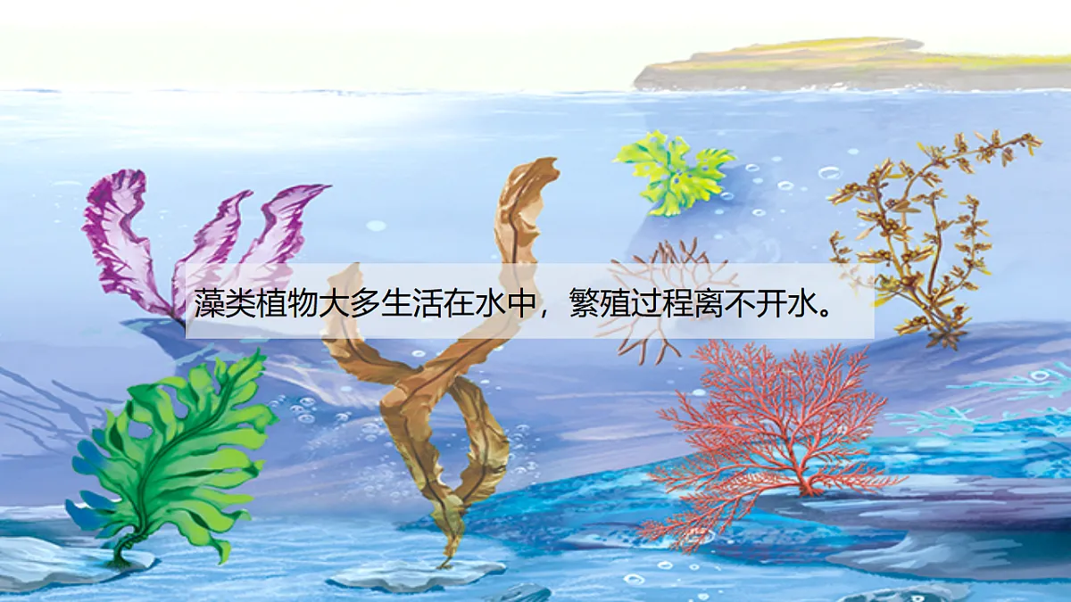 17609266第8页