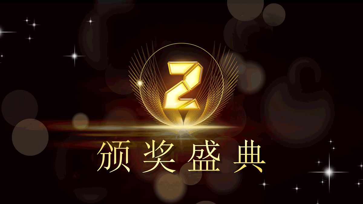17609297第7页