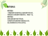 4.1 桑叶和蚕宝宝 课件 2025-2026学年湘美版美术一年级上册