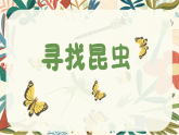 4.2 寻找昆虫 课件 2025-2026学年湘美版美术一年级上册