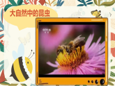 4.2 寻找昆虫 课件 2025-2026学年湘美版美术一年级上册