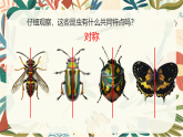 4.2 寻找昆虫 课件 2025-2026学年湘美版美术一年级上册