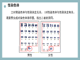 【核心素养目标】苏教版初中生物八年级下册6.20.3人的性别决定 课件+教学设计（表格）