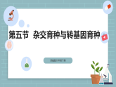 【核心素养目标】苏教版初中生物八年级下册6.20.5杂交育种与转基因育种 课件+教学设计（表格）