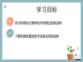 【核心素养目标】苏教版初中生物八年级下册6.20.5杂交育种与转基因育种 课件+教学设计（表格）