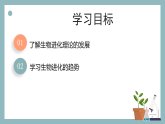 【核心素养目标】苏教版初中生物八年级下册6.21.3生物进化的理论 课件+教学设计（表格）