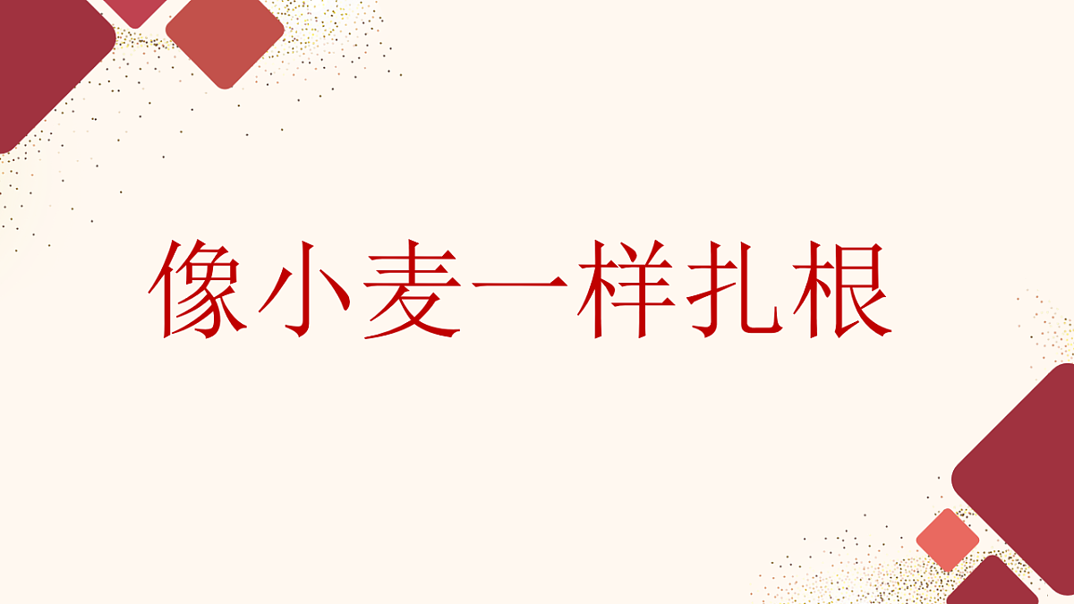 17611102第8页