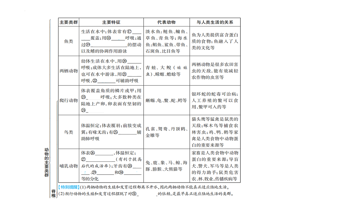 17611139第5页