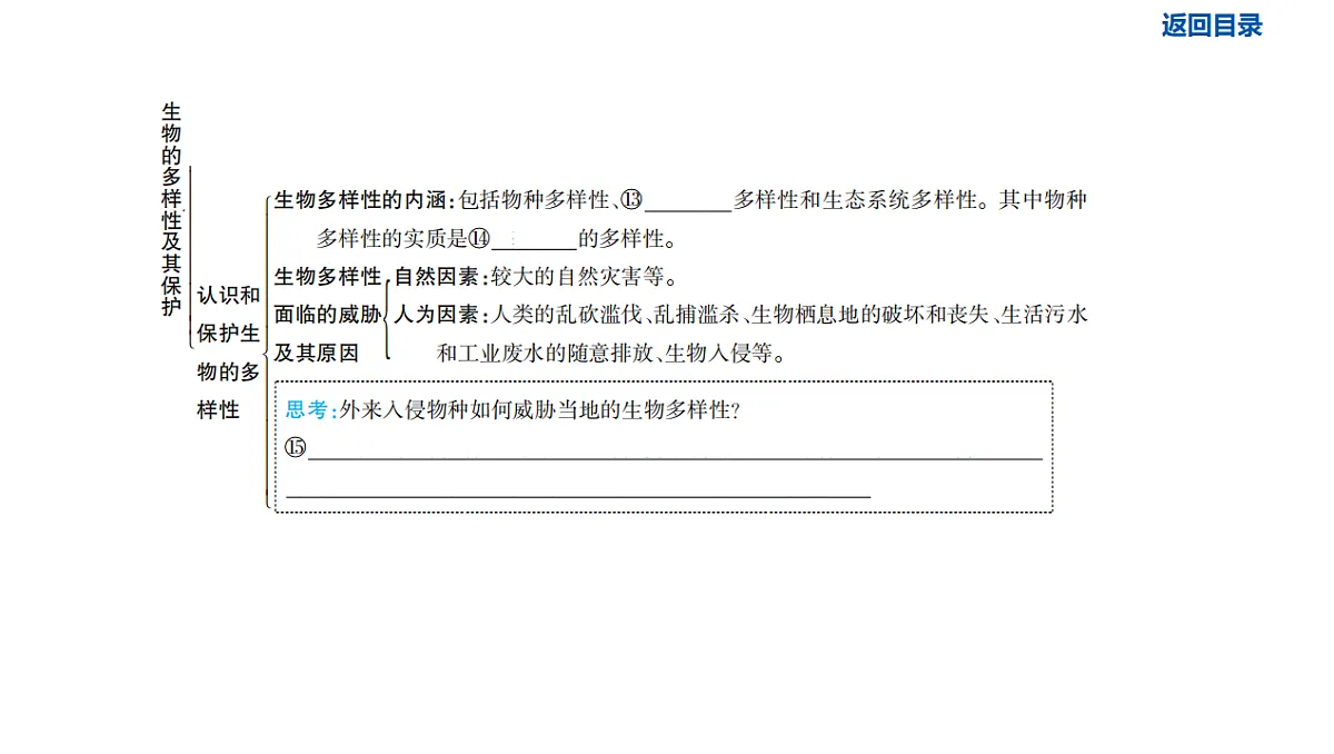 17611141第4页