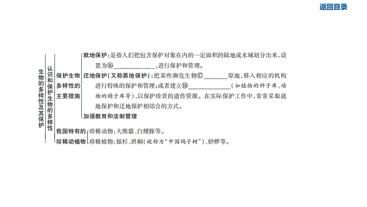 17611141第5页