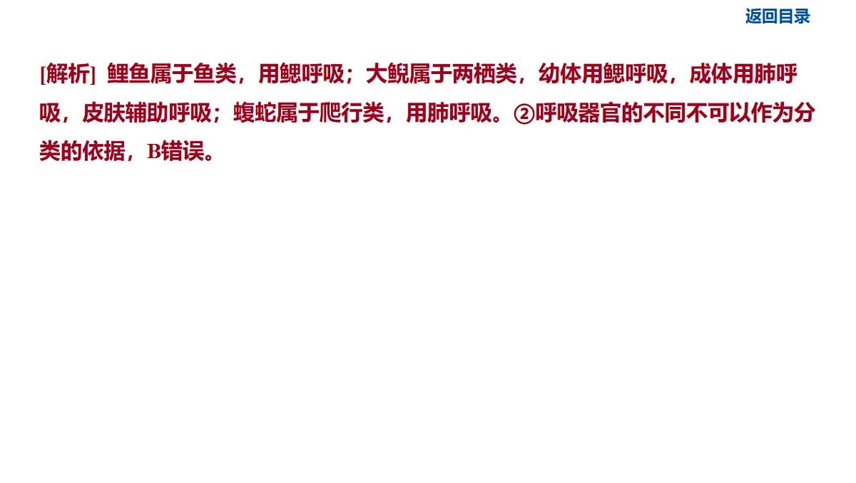 17611141第8页