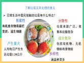 人教版化学九下跨学科实践活动7《垃圾的分类与回收利用》课件+教案+分层作业