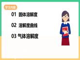 人教版化学九下第九单元 课题2《溶解度》（第二课时） 课件+教案+分层作业+导学案