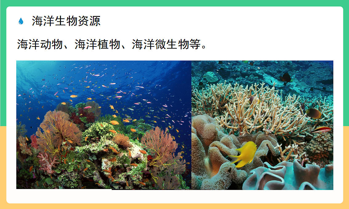 人教版化学九下跨学科实践活动8《海洋资源的综合利用与制盐》课件第6页