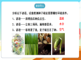人教版（新课标）生物七下 3.1.1《种子的萌发》课件+教案+分层练习+学案