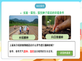 人教版（新课标）生物七下 3.1.1《种子的萌发》课件+教案+分层练习+学案