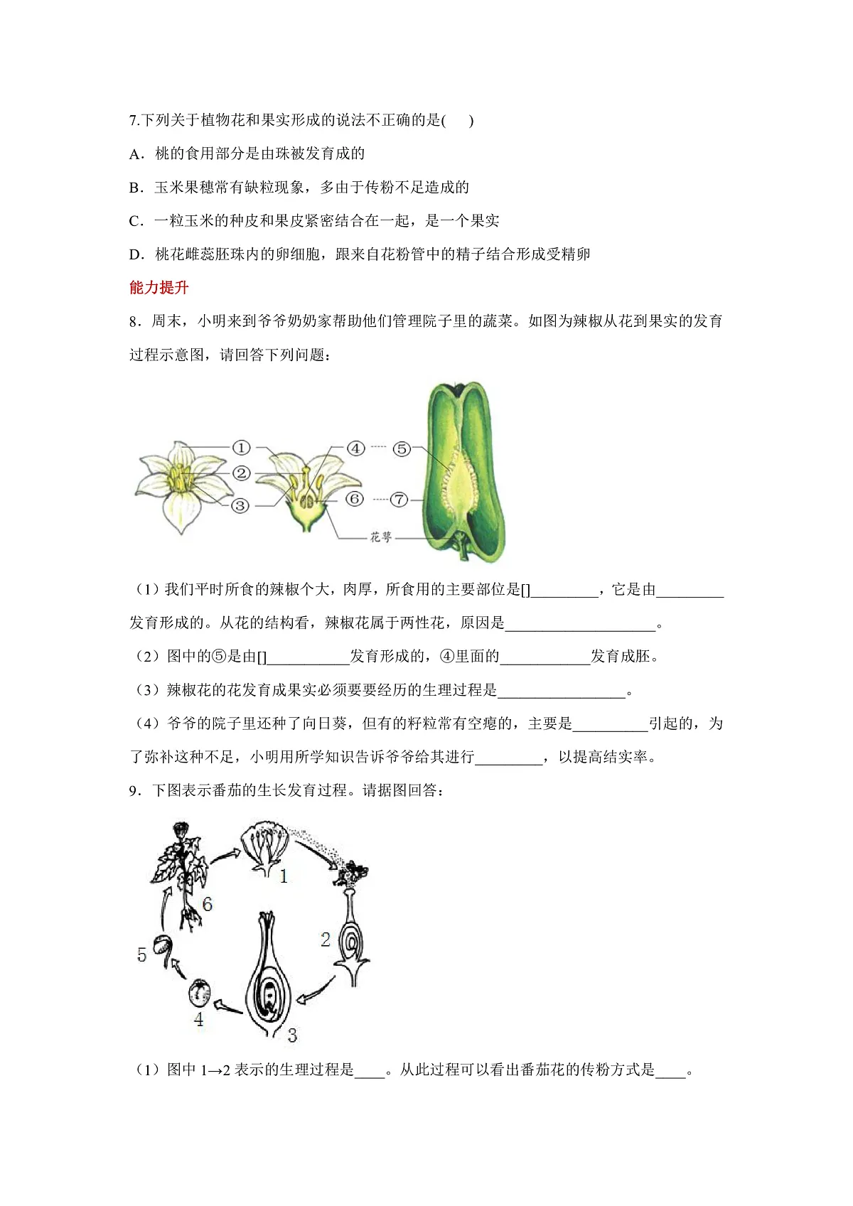 人教版（新课标）生物七下 3.1.3《开花和结果》分层练习第2页