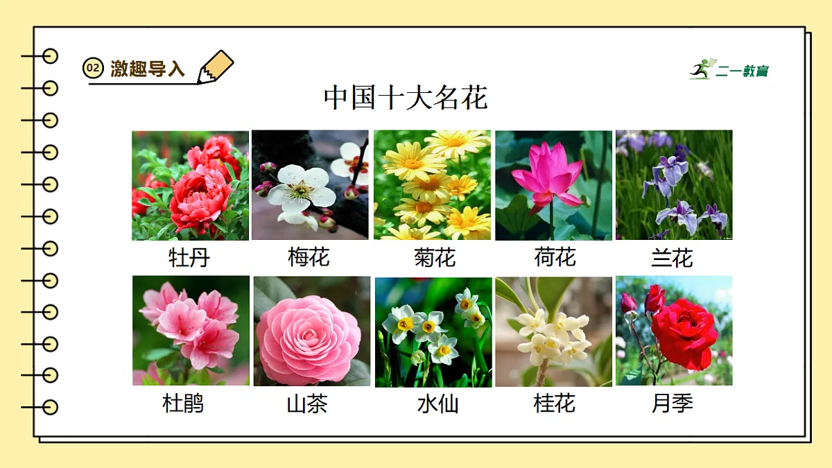 人教版（新课标）生物七下 3.1.3《开花和结果》课件第2页