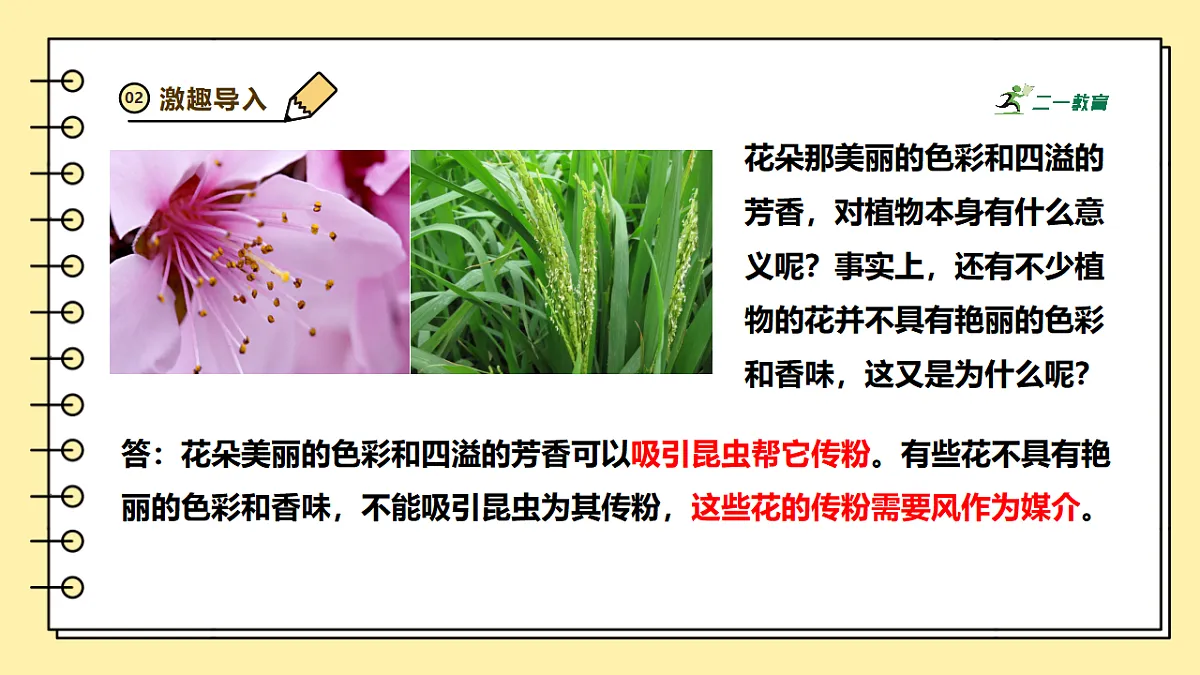 人教版（新课标）生物七下 3.1.3《开花和结果》课件第3页