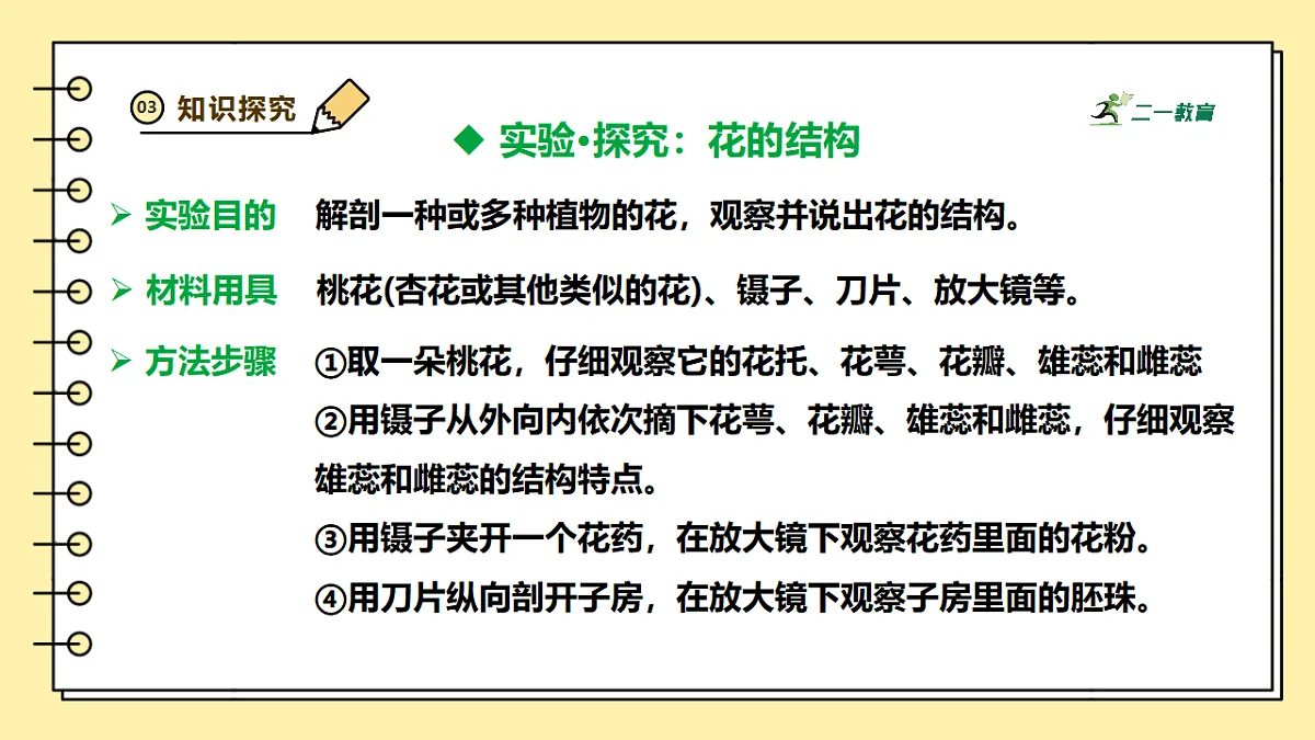 人教版（新课标）生物七下 3.1.3《开花和结果》课件第4页