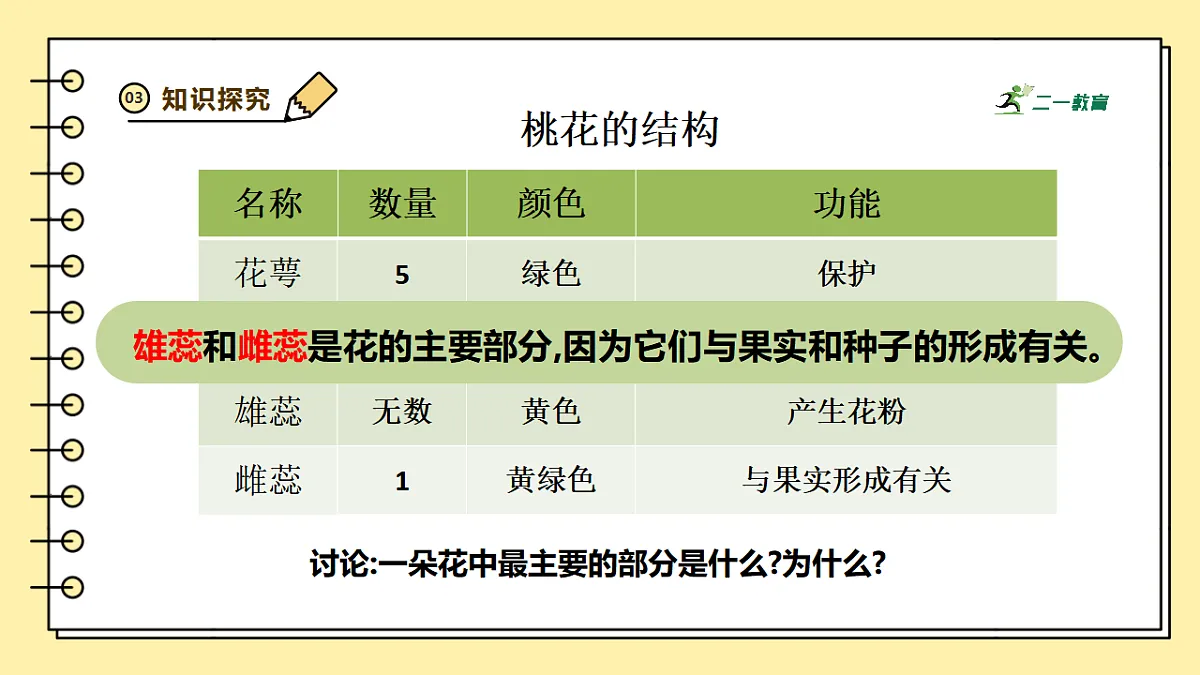 人教版（新课标）生物七下 3.1.3《开花和结果》课件第5页