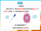 人教版（新课标）生物七下 4.1.1《人的生殖 》课件+教案+分层练习+学案