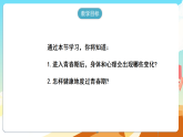 人教版（新课标）生物七下 4.1.2《青春期》课件+教案+分层练习+学案