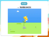 人教版（新课标）生物七下 4.1.2《青春期》课件+教案+分层练习+学案