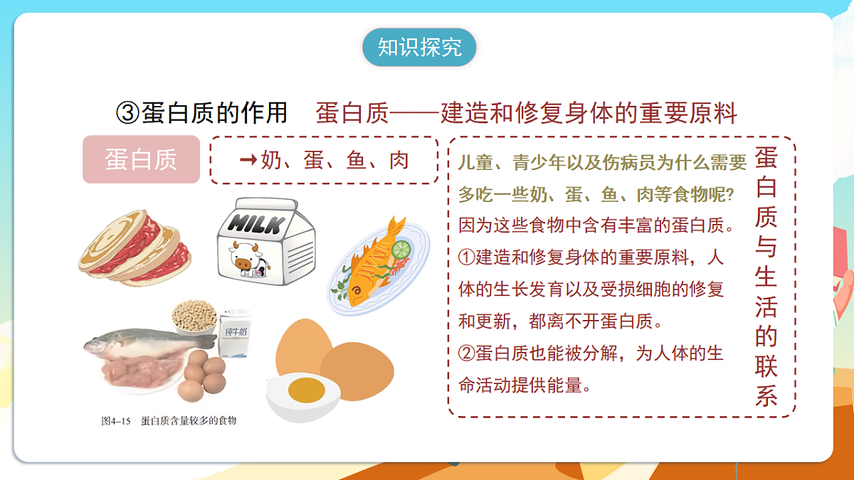 人教版（新课标）生物七下 4.2.1《食物中的营养物质》课件第8页