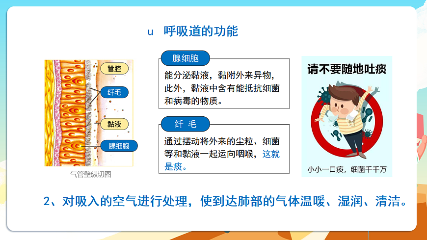 人教版（新课标）生物七下 4.3.1《呼吸道对空气的处理》课件第8页