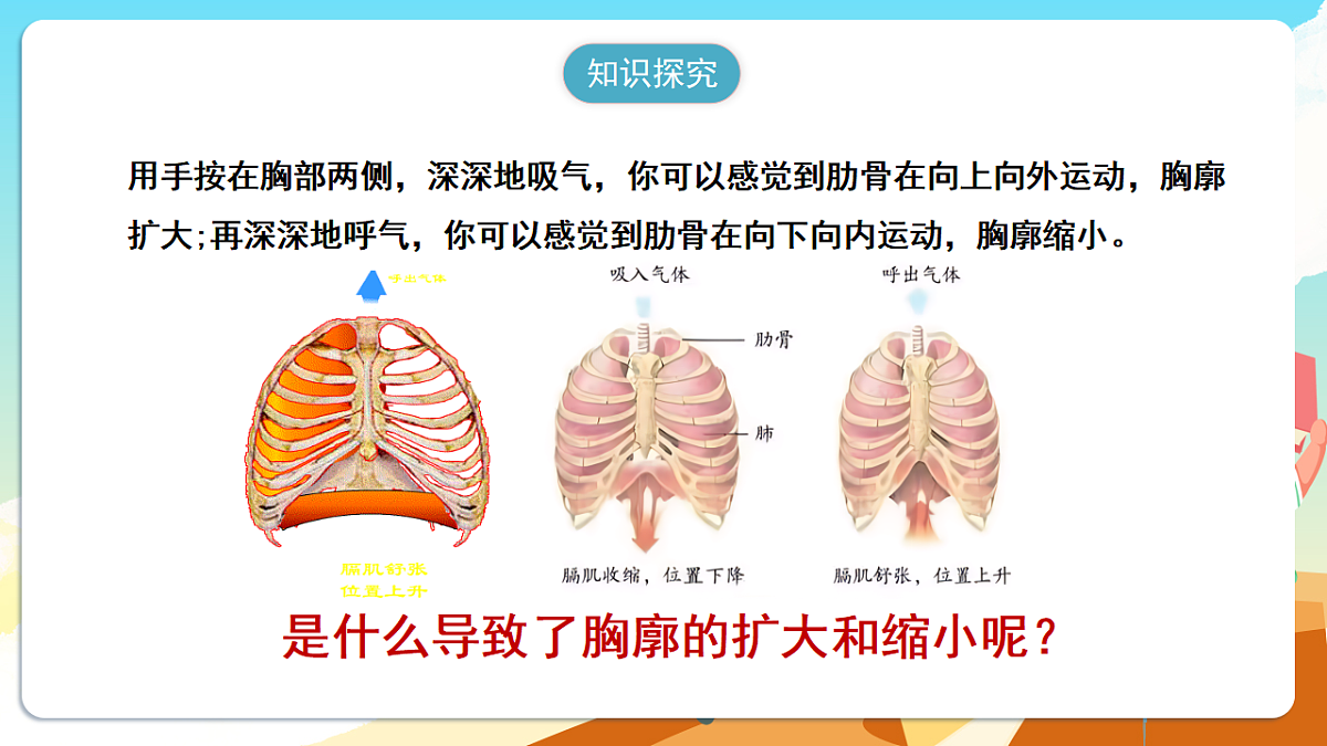 人教版（新课标）生物七下 4.3.2《发生在肺内的气体交换》课件第8页