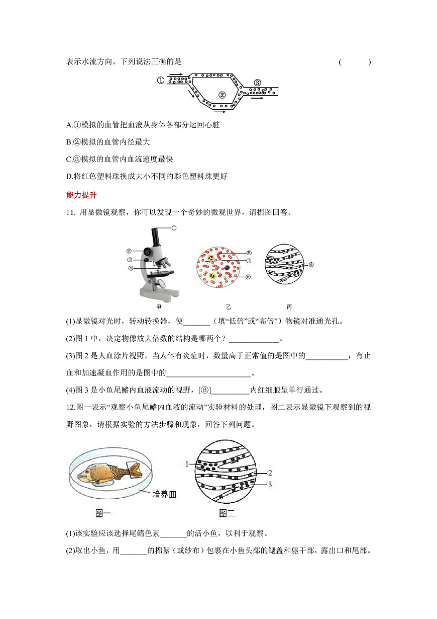 人教版（新课标）生物七下 4.4.2《血流的管道——血管》分层练习第3页