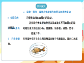 人教版（新课标）生物七下 4.4.2《血流的管道——血管》课件+教案+分层练习+学案